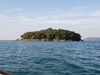 ZZ1R Image